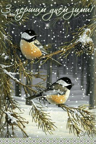 картинка анімація зима перший день птахи