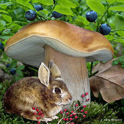 картинка анімація гриб заєць