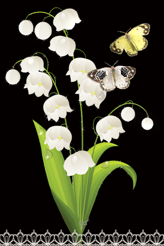 картинка анімація конвалія метелики роса
