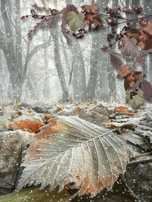 картинка анімація сніг листопад