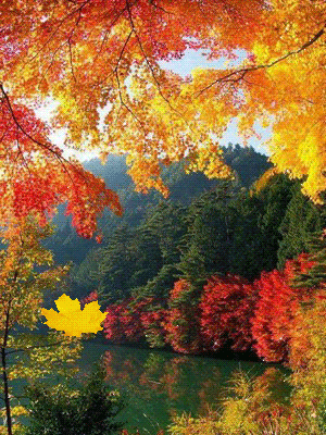 картинка анімація яскрава осінь