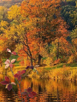 листівка анімація осінь вода