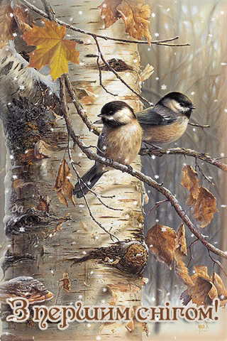 картинка анімація зима сніг перший птахи