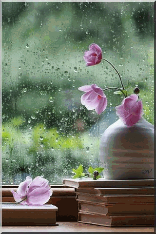 листівка анімація дощ вікно квіти 
