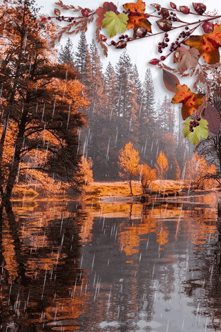 картинка анімація осінь дощ