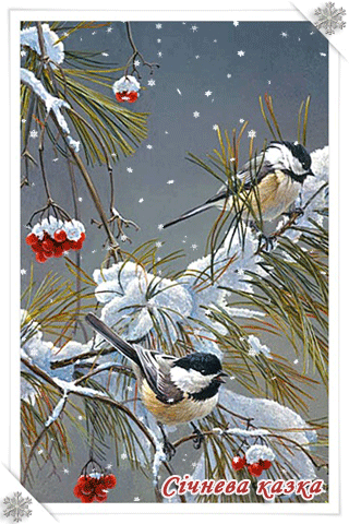 картинка анімація зима сніг птахи
