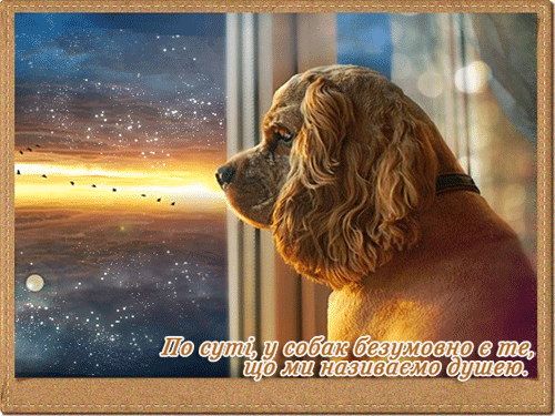листівка анімація мій пес сумуе