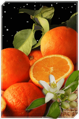 листівка анімація зимові фрукти апельсини