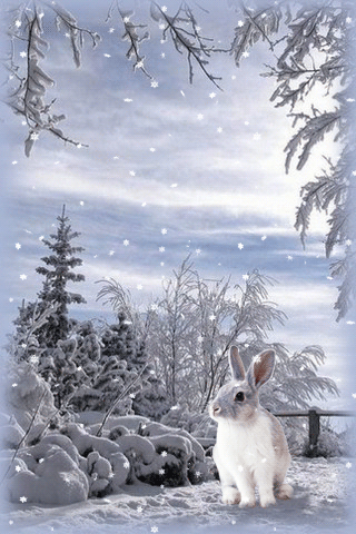 картинка анімація зима грудень ліс заяць