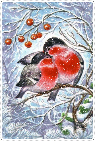 картинка анімація зима лютий птахи