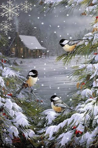картинка анімація зима грудень ліс птахи