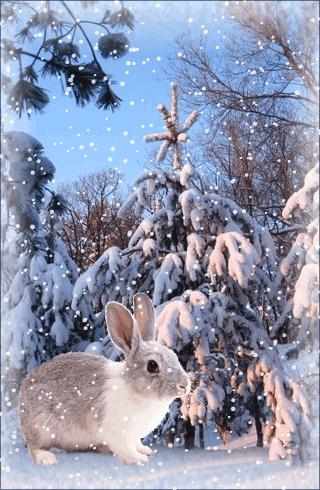 листівка анімаціязима заєць сніг