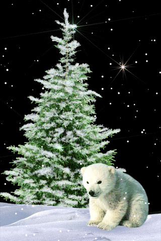 картинка анімація зима зимова казка сніг медвідь
