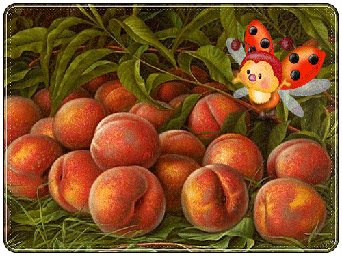 листівка анімація абрикоси