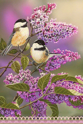 картинка анімація квіти бузок птахи