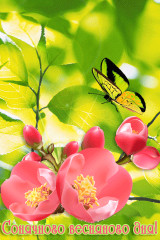 картинка анімація добрий весняний день цвітіння яблуня