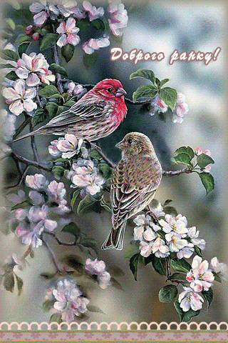 картинка анімація добрий весняний ранок цвітіння птахи