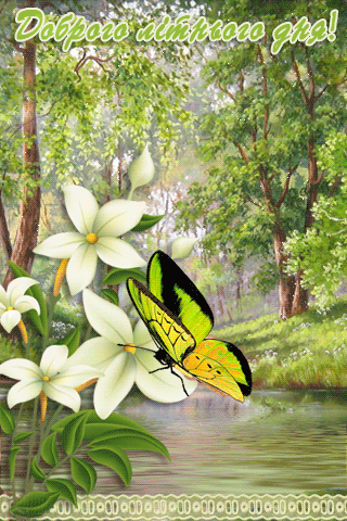 картинка анімація добрий літній день ліс квіти метелик
