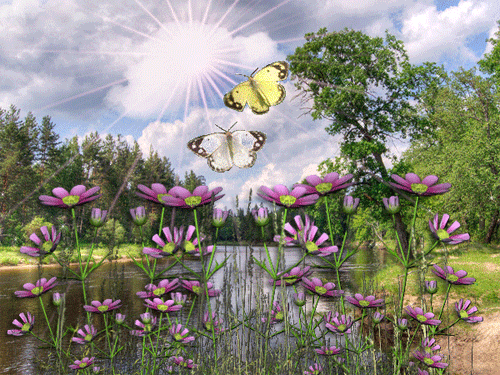 листівка анімація добре літо природа метелики