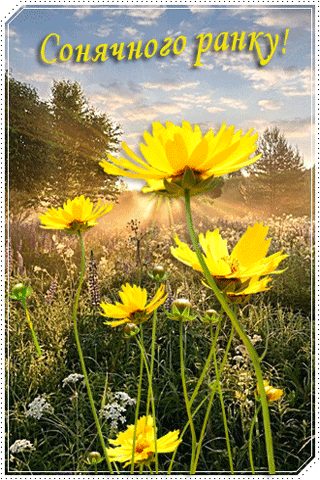 картинка анімація добрий літній ранок квіти поле сонце