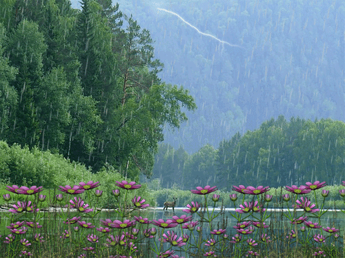 картинка анімація літо дощ ліс ріка блискавка