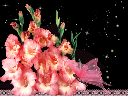 листівка анімація квіти рожеві гладіолуси 