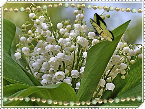листівка анімація квіти конвалії метелик весна