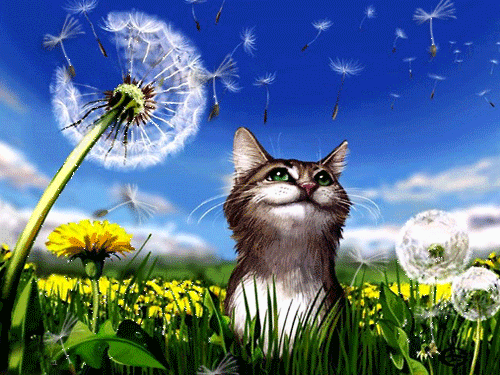 листівка анімація квіти кульбаби кошеня