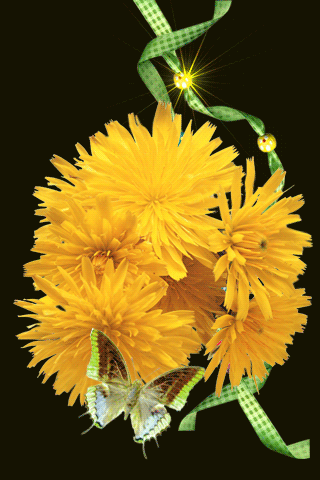 листівка анімація квіти кульбаби метелик