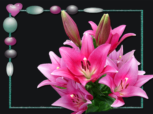 листівка анімація квіти лілеї рожеві