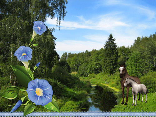 листівка анімація веселкове літо ліс коні