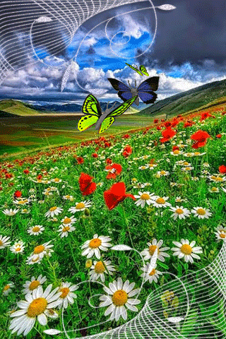 картинка анімація літо квіти метелики