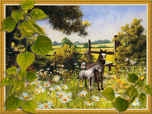 листівка анімація квіти липа цвіте поле коні
