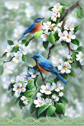 листівка анімація квітень квіти дерева птахи