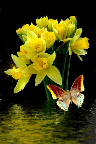 картинка анімація квіти нарциси метелик