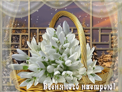 листівка анімація квіти підсніжники кошик вікно сніг