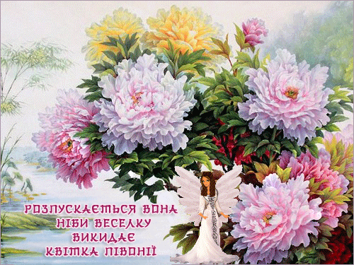 листівка анімація квіти півонії фея вірші