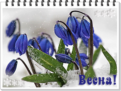 картинка анімація квіти проліски сніг весна