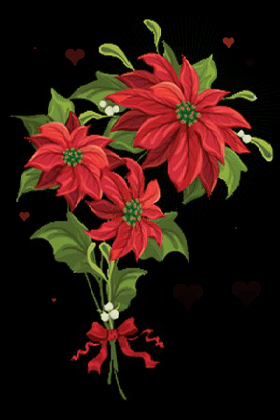 картинка анімація квіти пуансетія різдвяник   