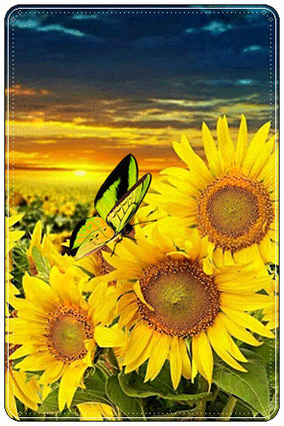 картинка анімація квіти соняшники