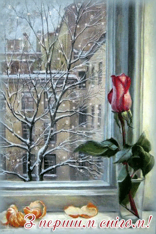 картинка анімація перший сніг вікно троянда