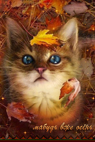 картинка анімація котик осінь листя